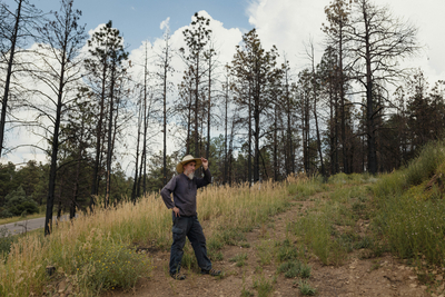 A pickup truck and trailer on the site of Sam Arthur and Tamara Fraser’s former home in Rociada, New Mexico. (Adria Malcolm for ProPublica)