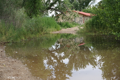 Overflowing river caused flood water to surround homes on the Walker River Paiute Reservation for weeks. (Photo: Jeniffer Solis/Nevada Current)