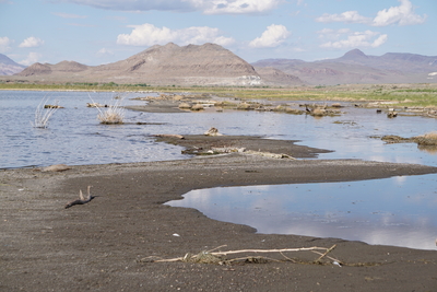 Upstream solutions lead to downstream problems for Tribal plants and animals