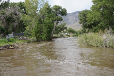Walker River, which cuts through the Walker River Paiute Reservation, saturated by floods, widened the creek by at least 5 feet. Overflowing creak threatened integrity of NV Energy power pole near the bank. (Photo: Jeniffer Solis/Nevada Current)